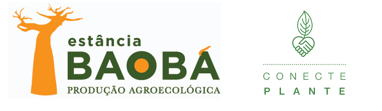 apoio baoba conecte plante
