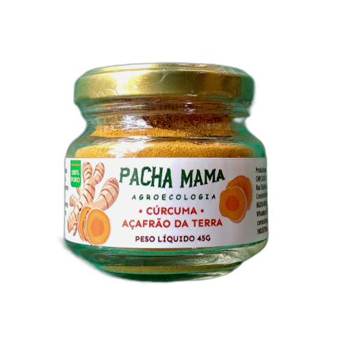 CÚRCUMA AÇAFRÃO DA TERRA PÓ - 45 G