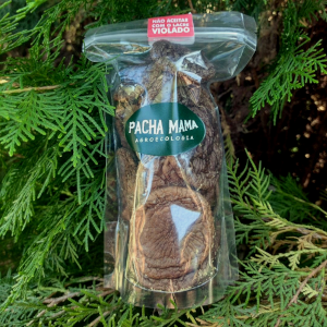 shiitake desidratado agroecológico